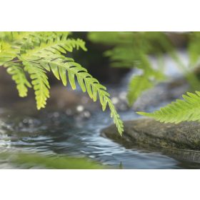 Folyó poszter 1-611.