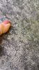 Vira elegáns  ezüstös fekete betonmintás tapéta 102405-6