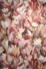 Erismann Pure Harmony 10586-06