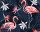 Greenery poszter Flamingo II.  11661-3.