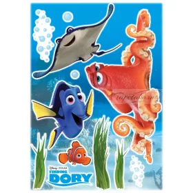 Nemo falmatrica 14051.