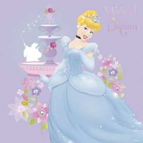 Hercegnős szivacsdekoráció 24703