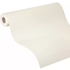  Rasch 325874 festhető tapéta – prémium vlies tapéta fehér, festhető felülettel