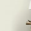 Rasch 326307 festhető tapéta – prémium vlies tapéta fehér, festhető, lágy átmenetes felülettel