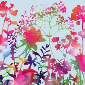   Virágmintás színes statikus üvegfólia Premium Miraflores 334-0035