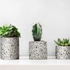 Terrazzo öntapadós fólia 346-0679