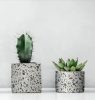 Terrazzo öntapadós fólia 346-0679
