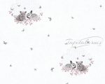 AS-Little Stars