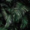 Magic Walls-Nature zöld trópusi levelek poszter 363104