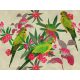 Színpompás papagájok digitális poszter 38254-1