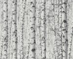 Nyírfaerdős fekete-fehér tapéta 38719-1