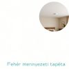 RASCH 489507 – Texturált fehér vlies tapéta (Kids & Teens III)