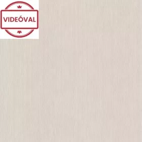 Világosszürke önmagában vékony csíkos tapéta 521474
