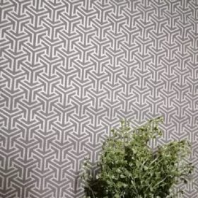 Follow your dreams 531916.