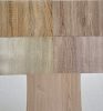 Gekkofix/Venilia Oak minimal  tölgy faerezetes öntapadós fólia 67cm 55586