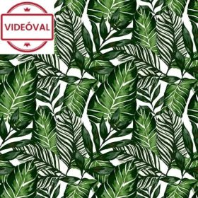 Gekkofix/Venilia zöld leveles öntapadós fólia 55789 45cm