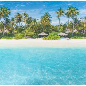  STATIC PANORAMA TRAVEL pálmafák és tenger statikus üvegfólia 56208