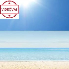   STATIC PANORAMA DAISY tengerpart mintás statikus ablakfólia 56209