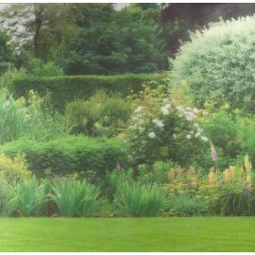 STATIC PANORAMA ANDREW bokrok statikus üvegfólia 56210