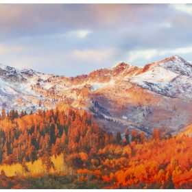   STATIC PANORAMA INDIAN SUMMER hegycsúcs a fák között statikus üvegfólia 56213