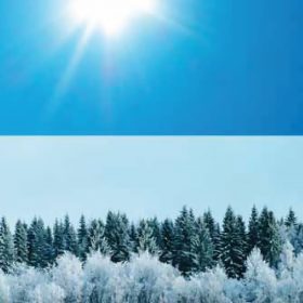   STATIC PANORAMA WHITE FOREST havas erdő statikus üvegfólia 56223