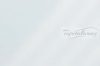 Gekkofix/Venilia üveg fólia Transparant white tejüveg 67cmx15m