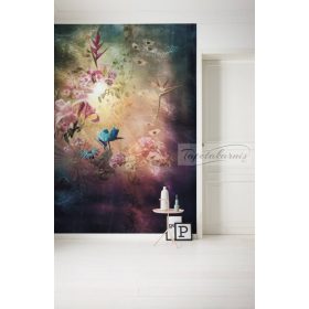 Enlightenment poszter 6048A-VD2.