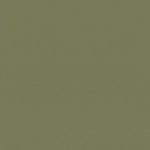   Rasch Tropical House egyszínű zöld  tapéta 687538 Ajándék ragasztóval! 