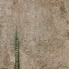 Betonmintás grafikus vlies tapéta, A.S. Création COSMOLiving 79085-4 