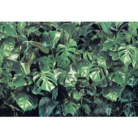 Leveles poszter 8-333.