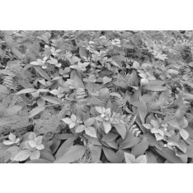 Leveles poszter 8-914.