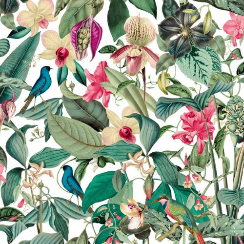 Mona trópusi esőerdőt ábrázoló színes tapéta, fehér alapon tapéta 81686