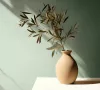 Naomi egyszínű krémzöld natur mintanélküli tapéta  82521