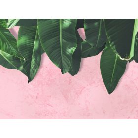 Leaves Wall 1 poszter DD118544