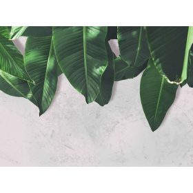 Leaves Wall 2 poszter DD118546