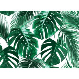 Palm Leaves 1 poszter DD118572