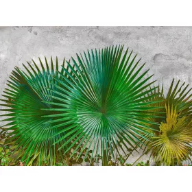 Agave Leaves poszter DD118710