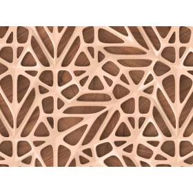 Organic Surface 2 poszter DD118716