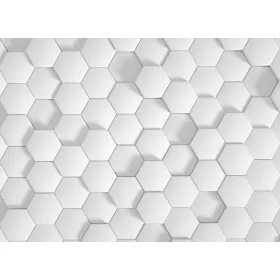 Honey Comb 1 poszter DD118726
