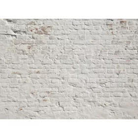 Brick White poszter DD118785