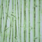 DM zöld bambuszos öntapadós tapéta DM-9145.