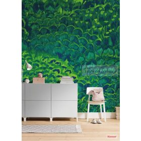 Feathers poszter P019-VD2.