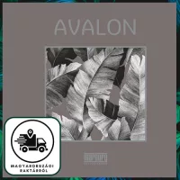 Avalon 2025 KÉSZLETES Kifutó!