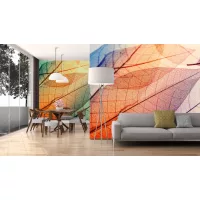 Növény
