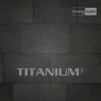 Titanium 3. 2024.