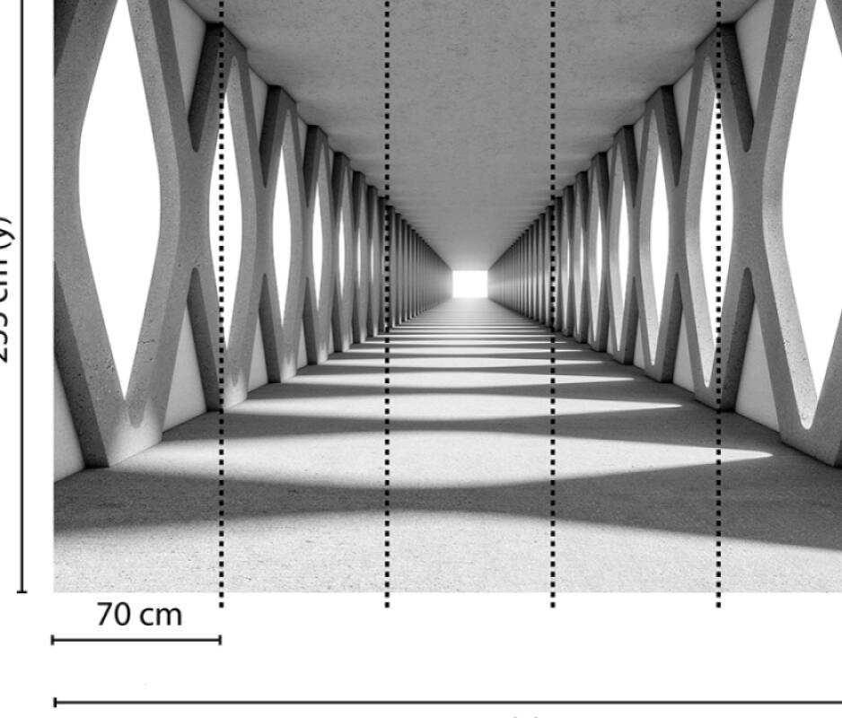 Grey Aisle poszter DD118744