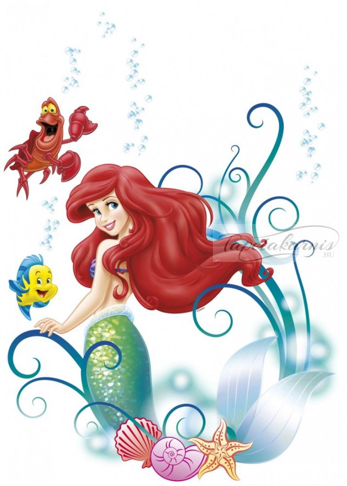 Image of Arielle falmatrica 14013h.