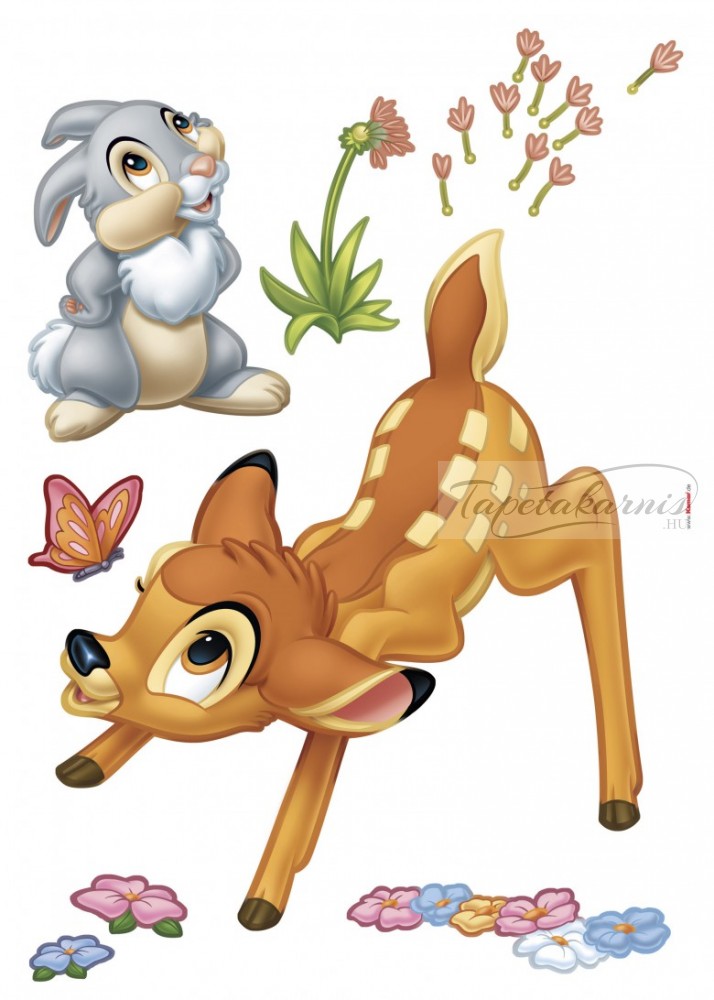 Image of Bambi falmatrica 14043.