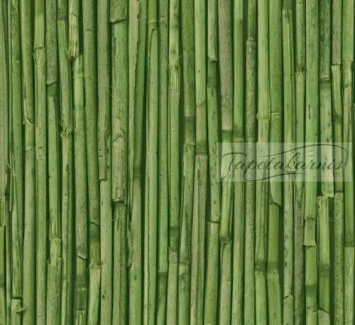 Image of Nád mintás öntapadós fólia Rufa, grün 280-3177