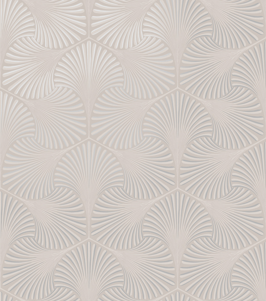 Image of Alocasia tapéta 36011